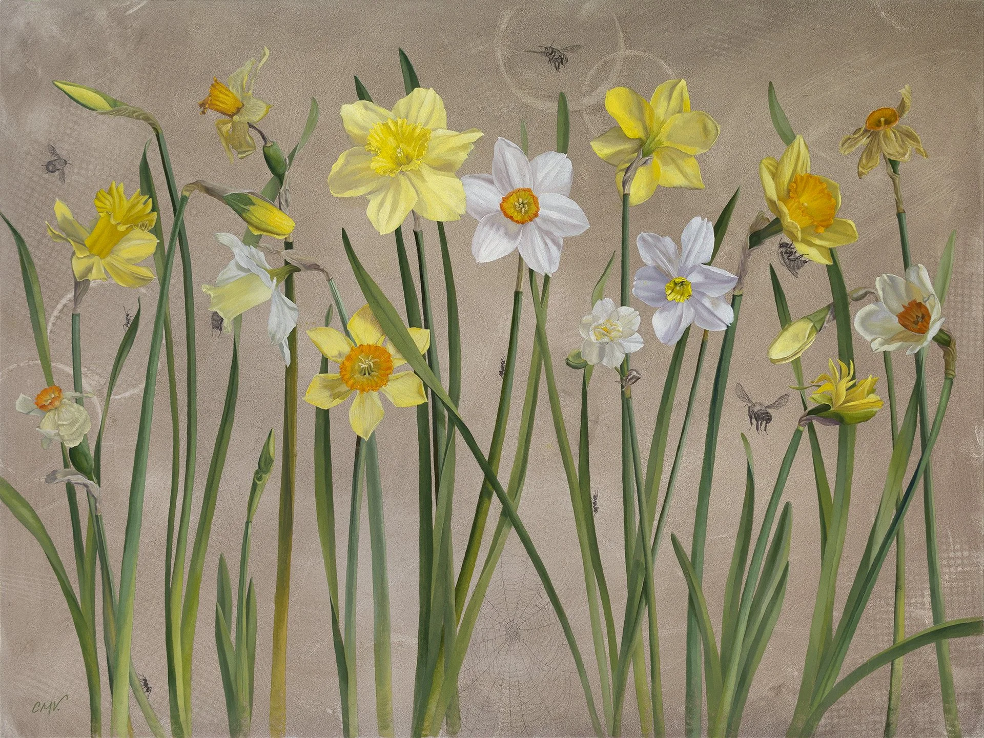 Harbingers of Spring / 18x24 / oil & graphite / sold