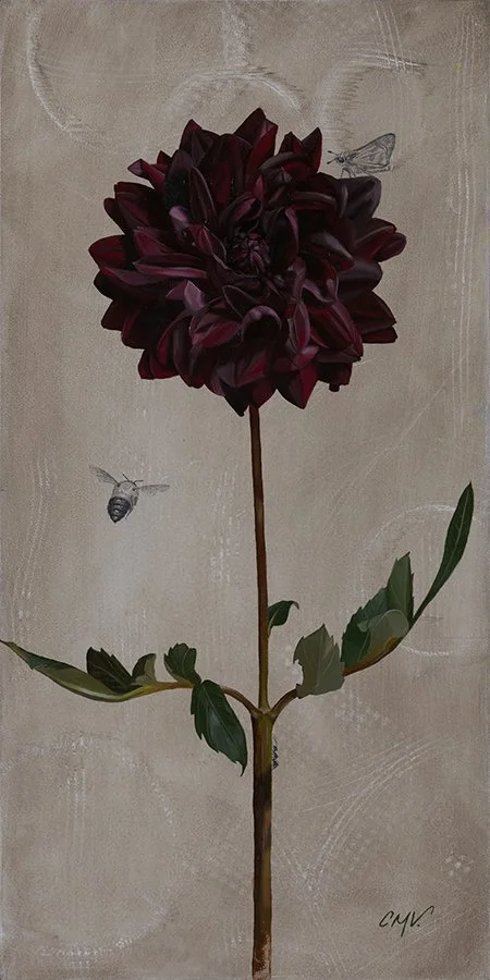 Dark Beauty / 16x8 / oil &  graphite / sold