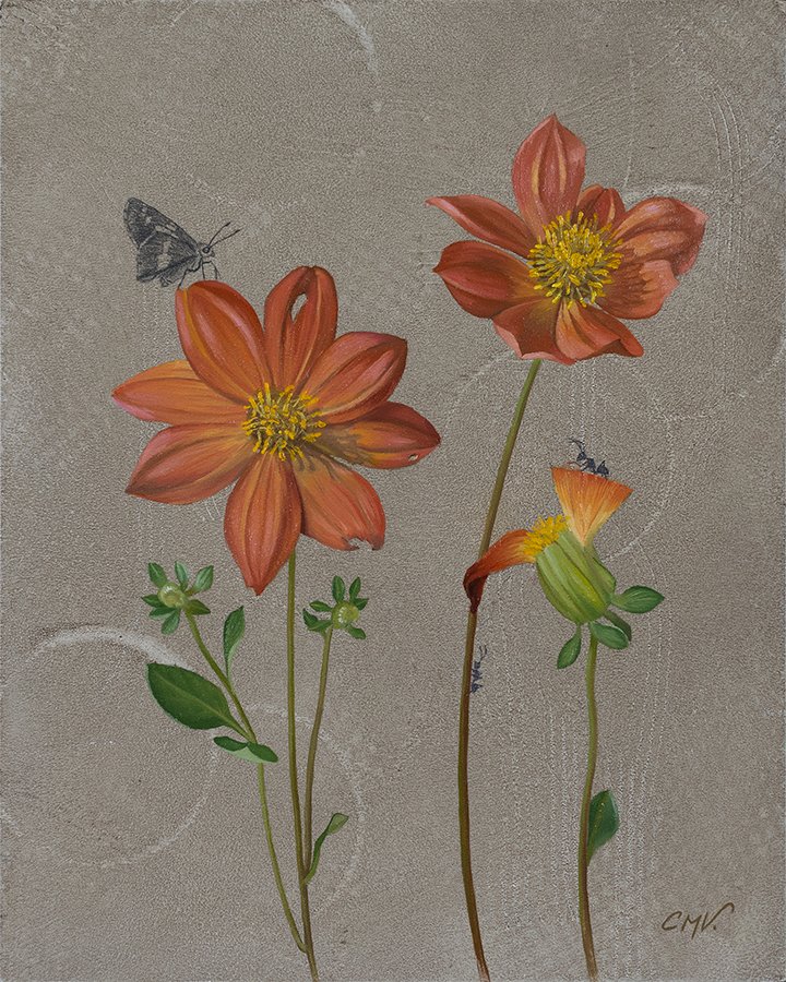 orange mignon dahlia oil painting inspired by the garden