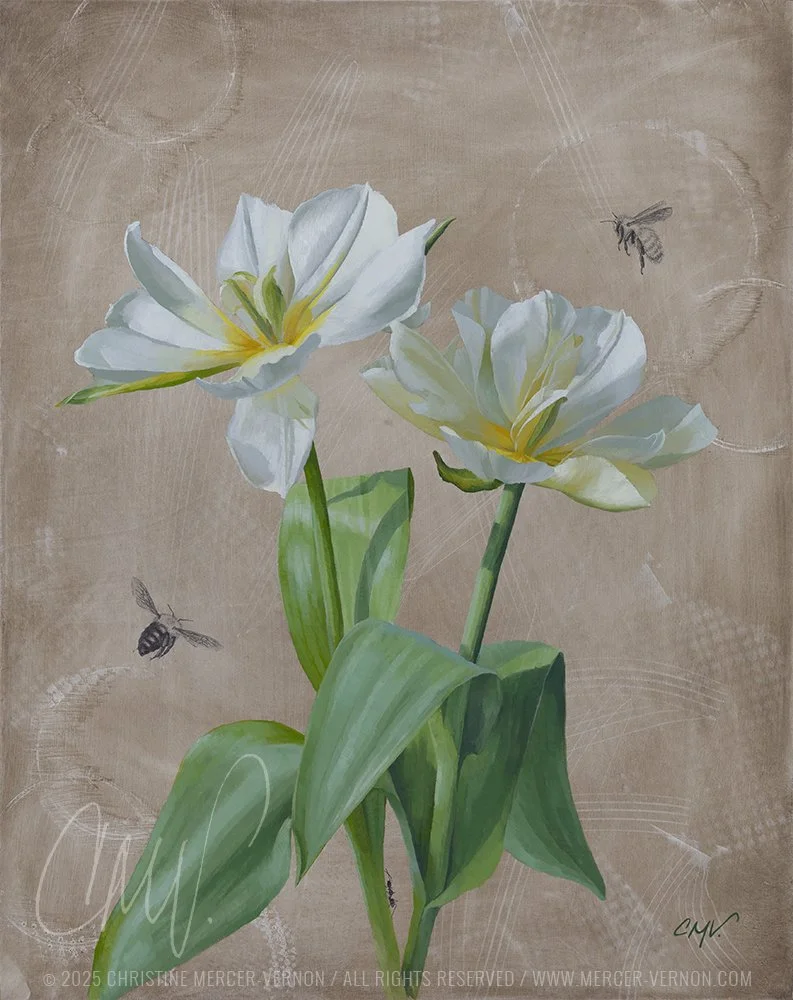 Framed square photo of two ivory tulips painted wide-open in oil on a neutral textured background, with two bees and an ant drawn in graphite, streaks of shadow crossing the petals, displayed in a minimal black floater frame.