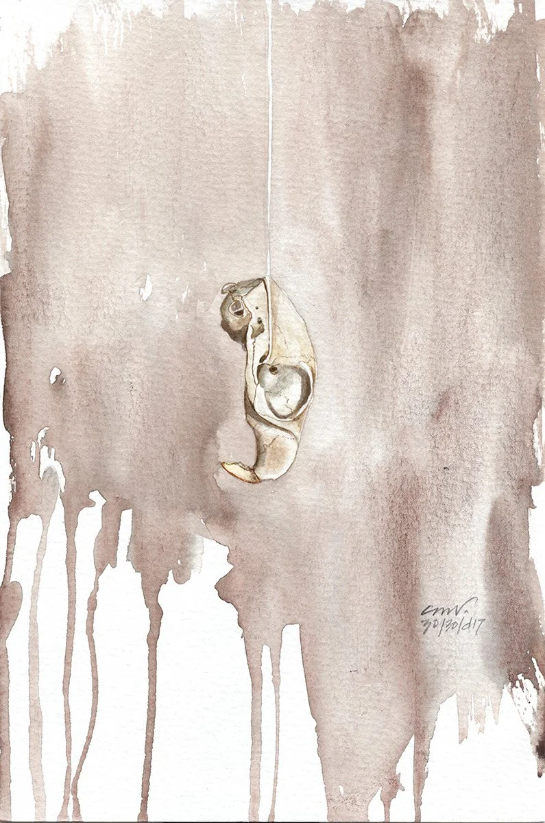 squirrel skull watercolor painting