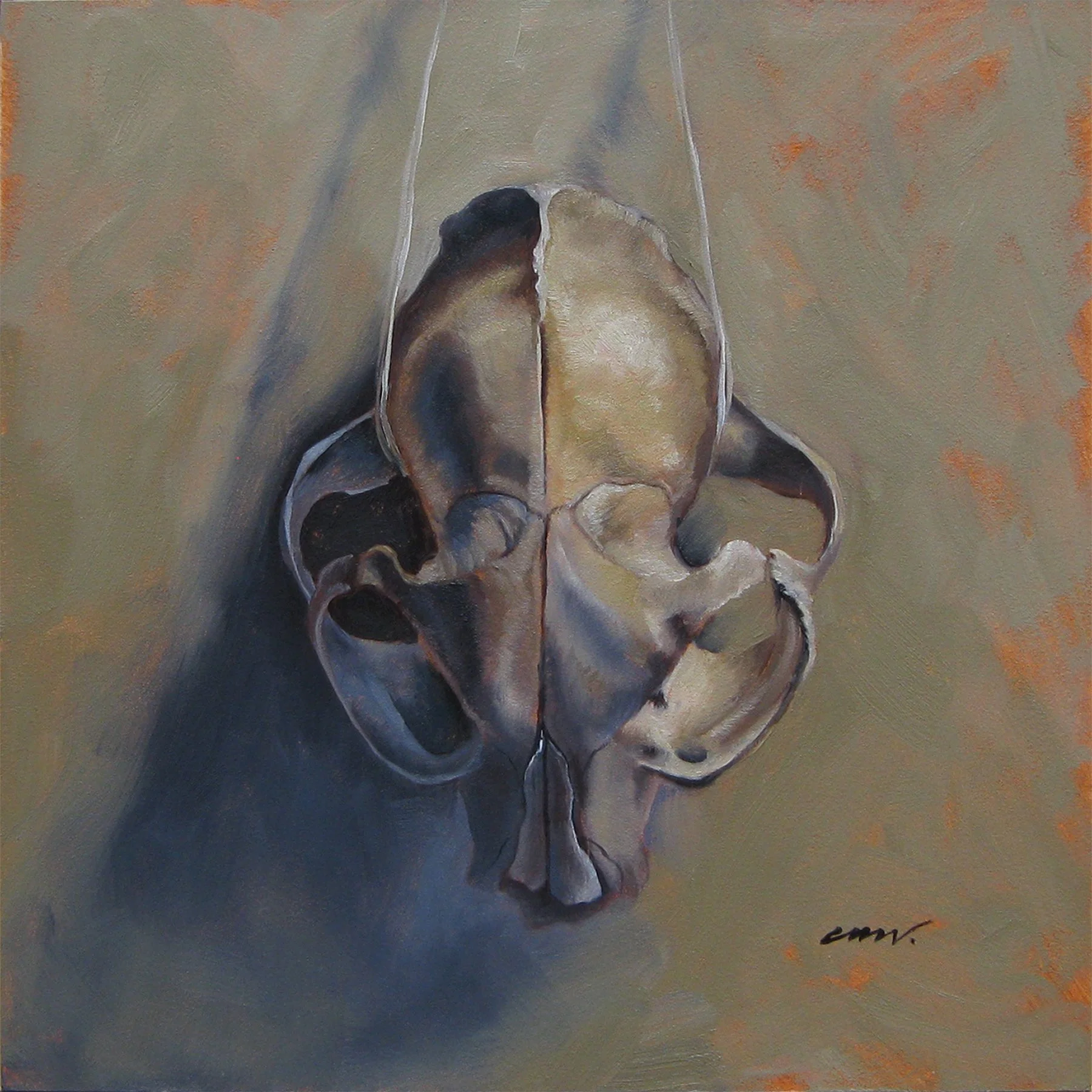A painting of a cat skull, depicted from a frontal perspective, painted in shades of beige, brown, gray, and black, against a muted background with orange accents. The artist's signature, "cmv.," is located in the bottom right corner.