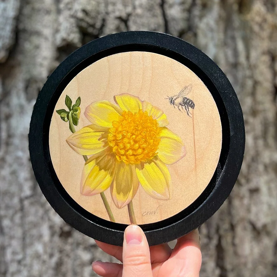 small round painting on birch wood of a yellow platinum blonde dahlia oil painting with an approaching bumble bee drawn in graphite