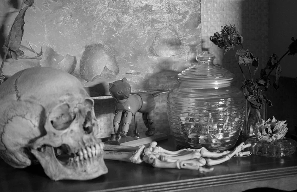 A human skull, an artist cat mannequin, a replica skeletal forearm and hand, a glass jar filled with wishbones, and dried flowers arranged on a wooden shelf with a textured painting of eggshells in the background.