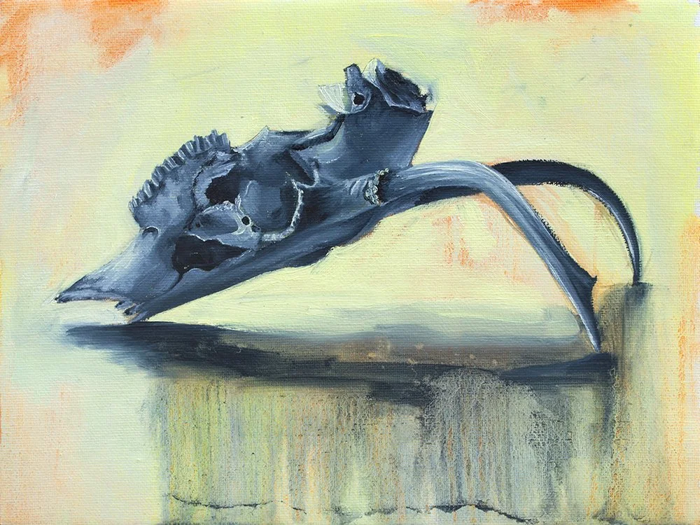 deer skull monochromatic painting