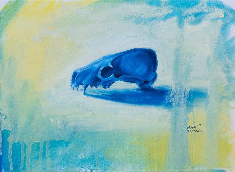 blue and yellow badger skull artwork