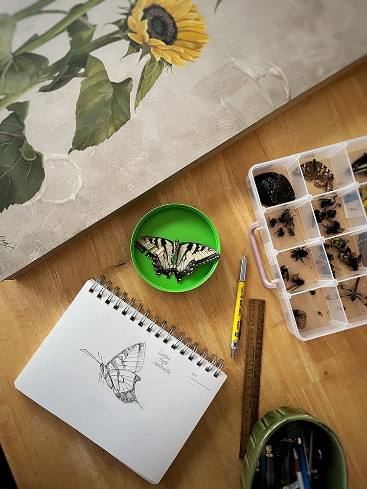 overhead view of the artist's workspace with sketchbook and drawing tools, a butterfly specimen and a collection of deceased bees in a compartmented container.