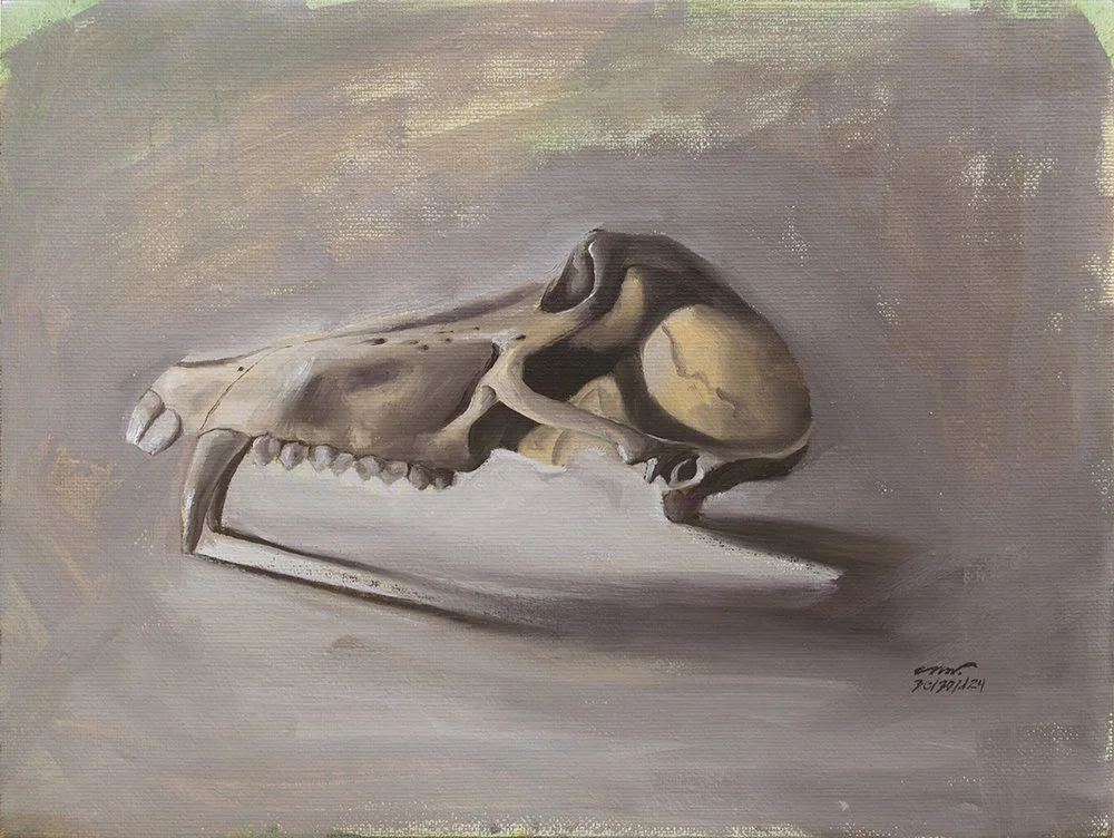 baboon skull oil painting