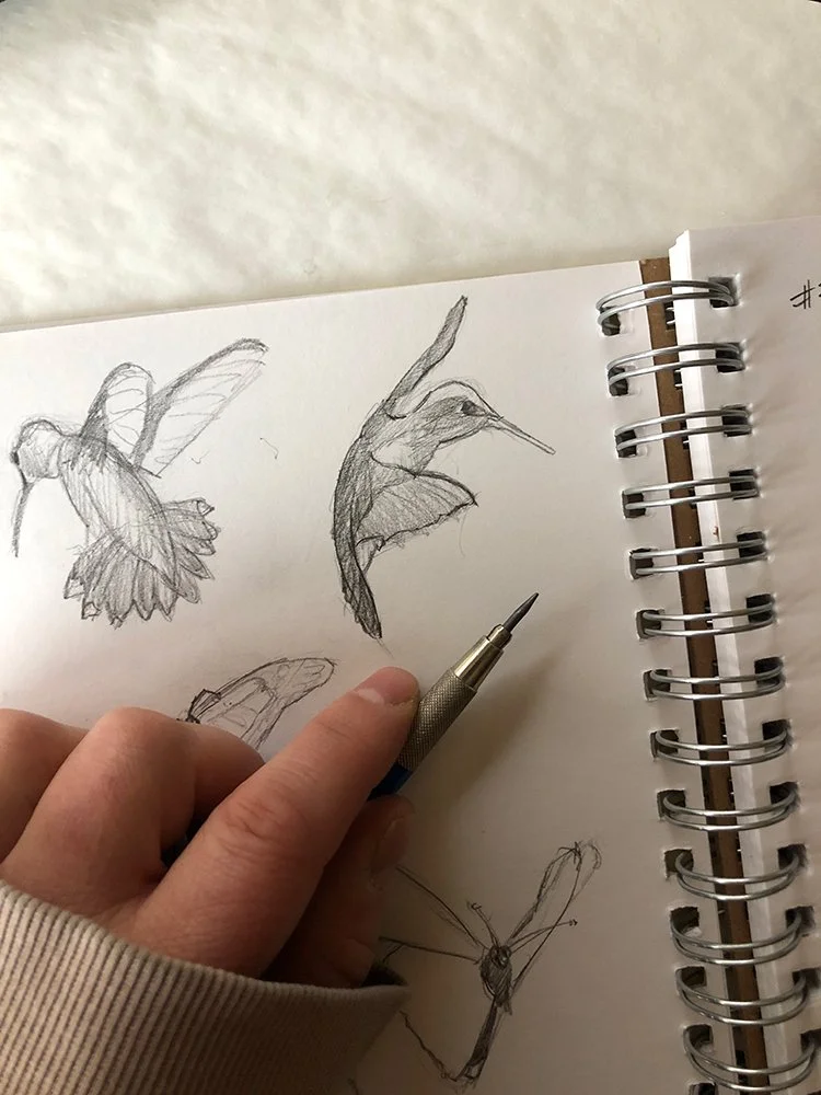 Christine Mercer-Vernon's sketchbook with pencil studies of hummingbirds in flight. The artist hand holds a mechanical pencil.