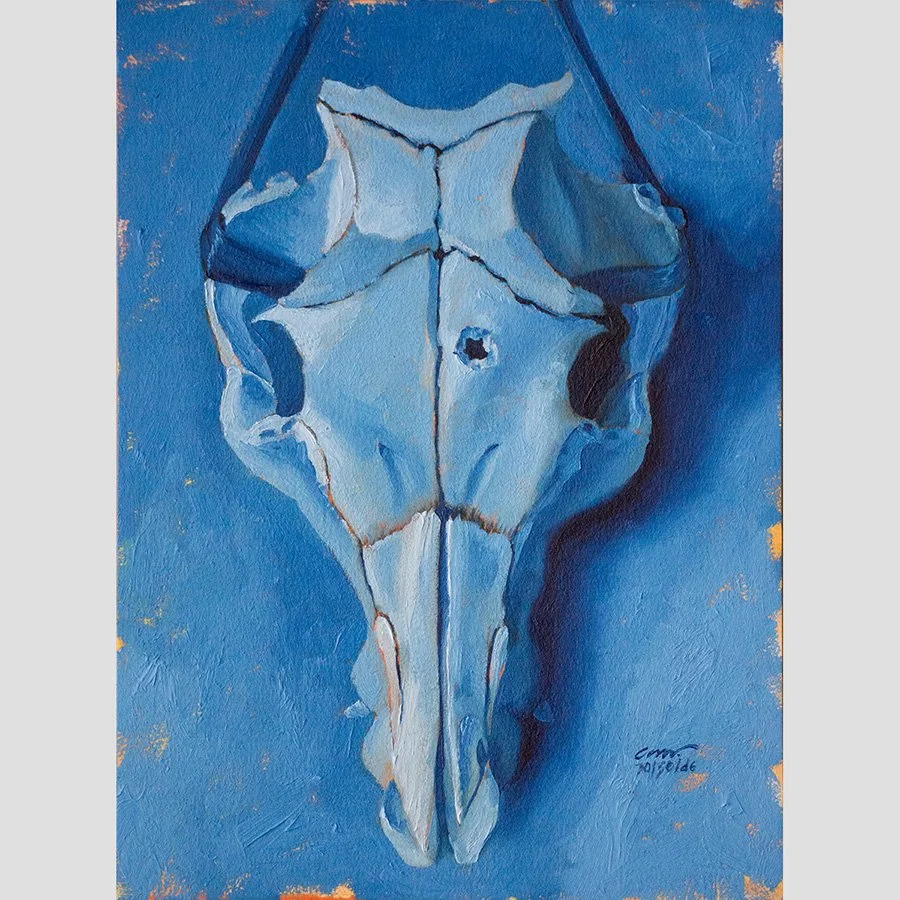 6 Artist Resources for Animal Skulls and Bones — Artist Christine