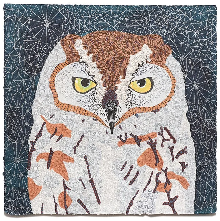 Socotra scops owl