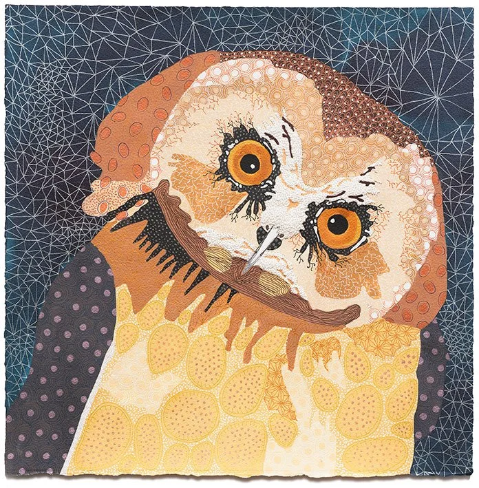 Unspotted saw whet owl