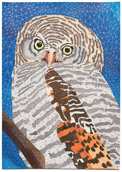 Jungle owlet