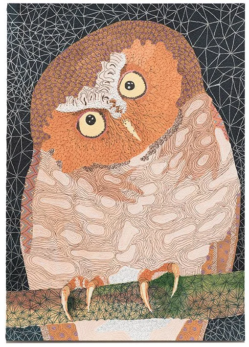 Flores scops owl