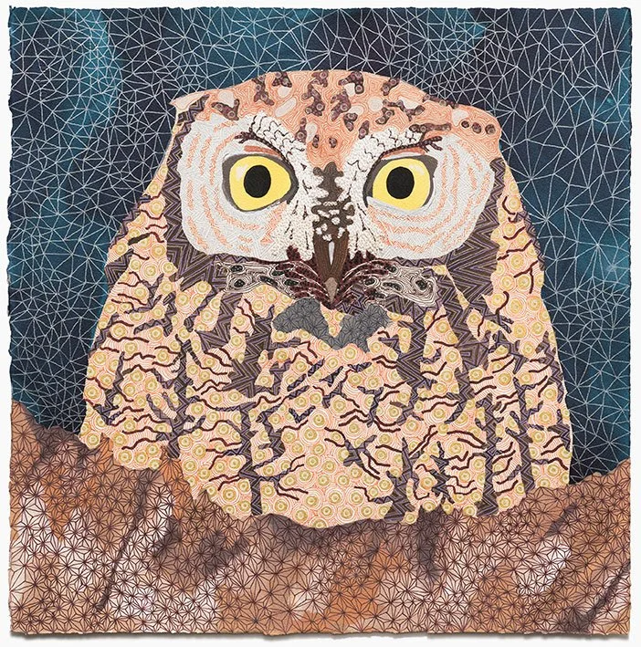 Western screech owl