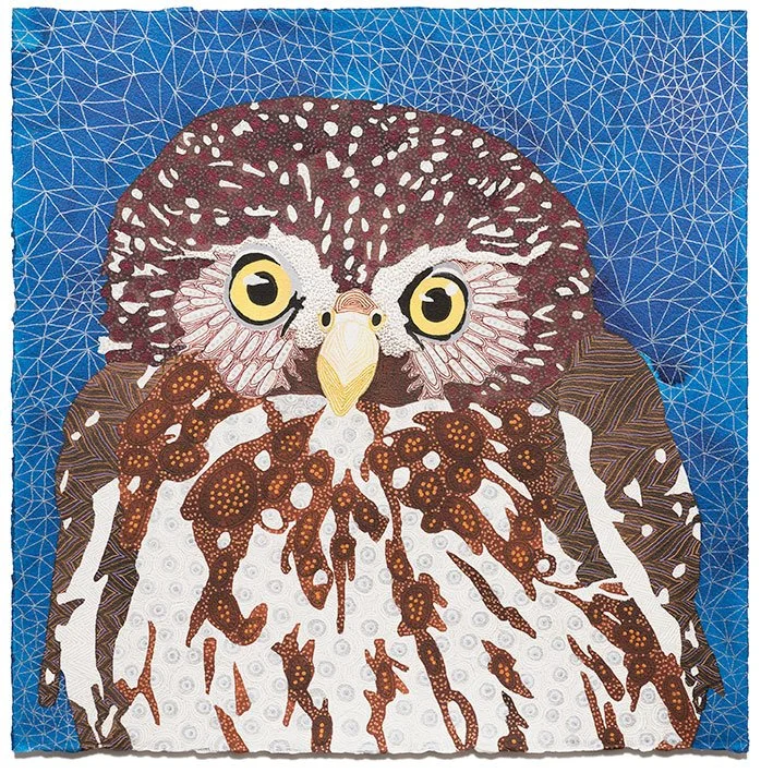 Tucuman pygmy owl