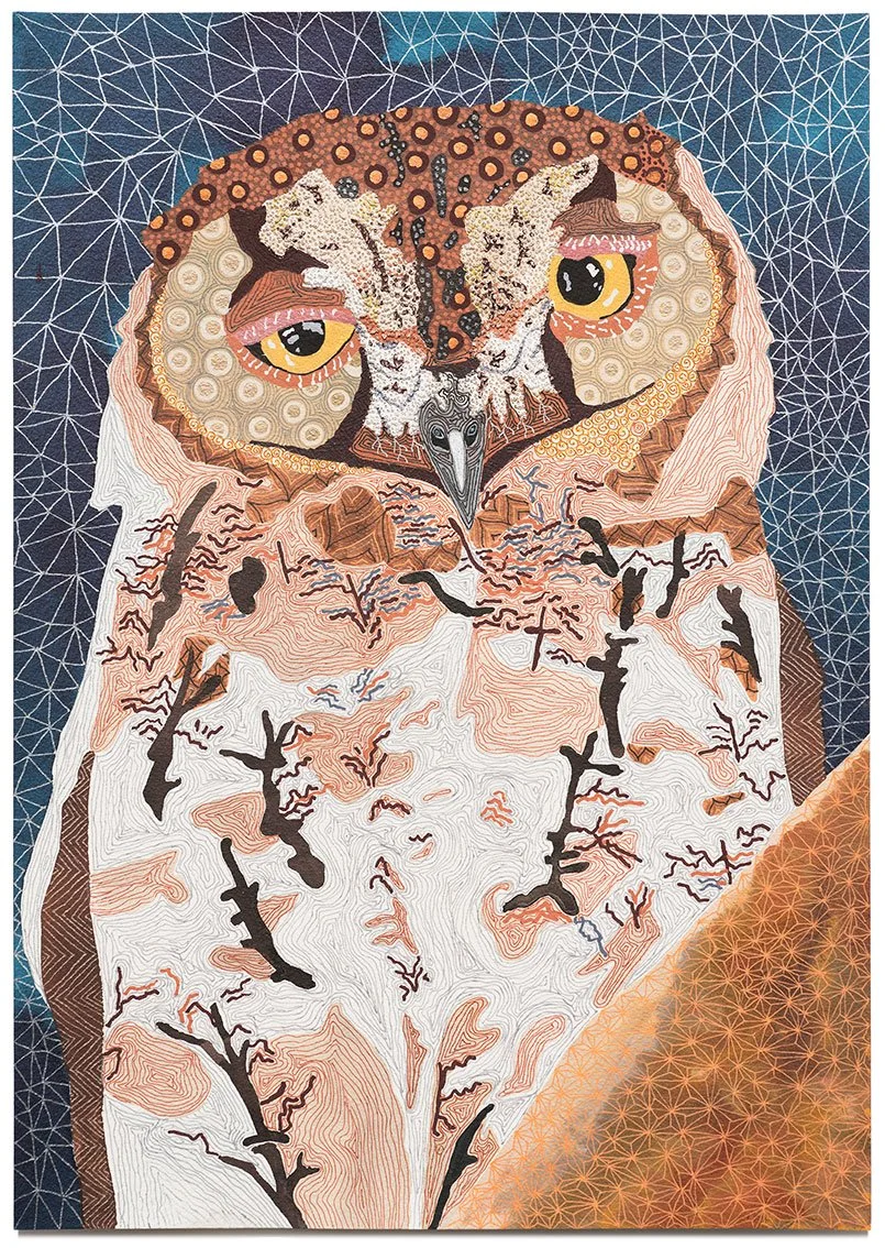 African scops owl