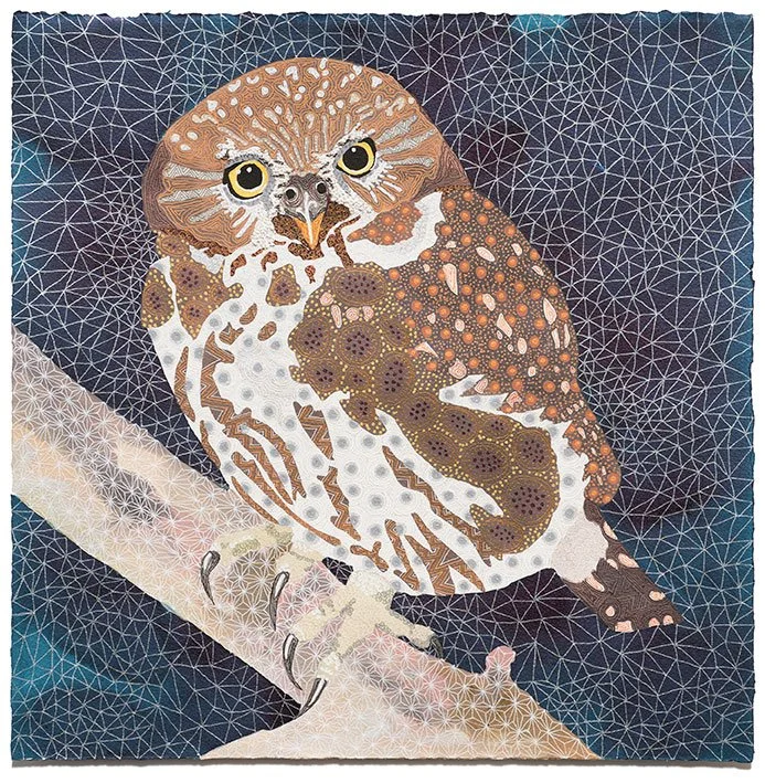 Peruvian pygmy owl