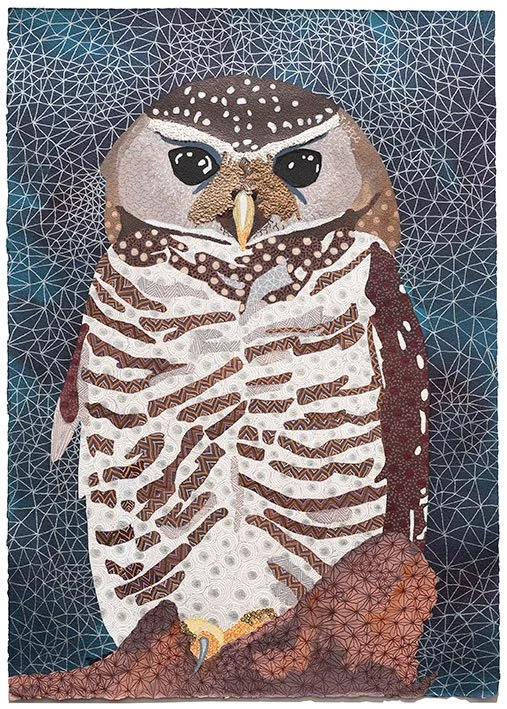 White browed owl