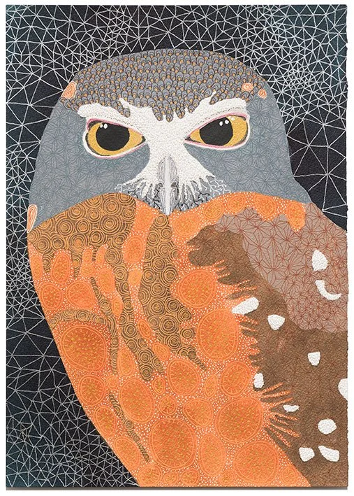 Ochre-bellied boobook