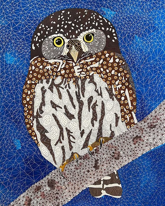 Mountain pygmy owl