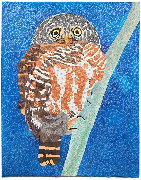 Collared owlet