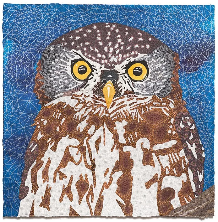 Pearl spotted owlet