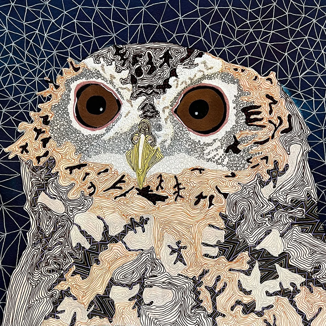 Long-tufted screech owl