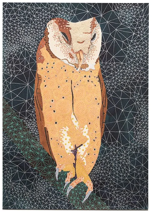 Sri Lanka bay owl
