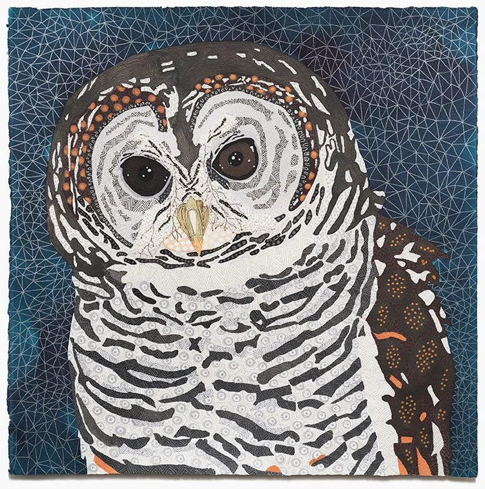Chaco owl