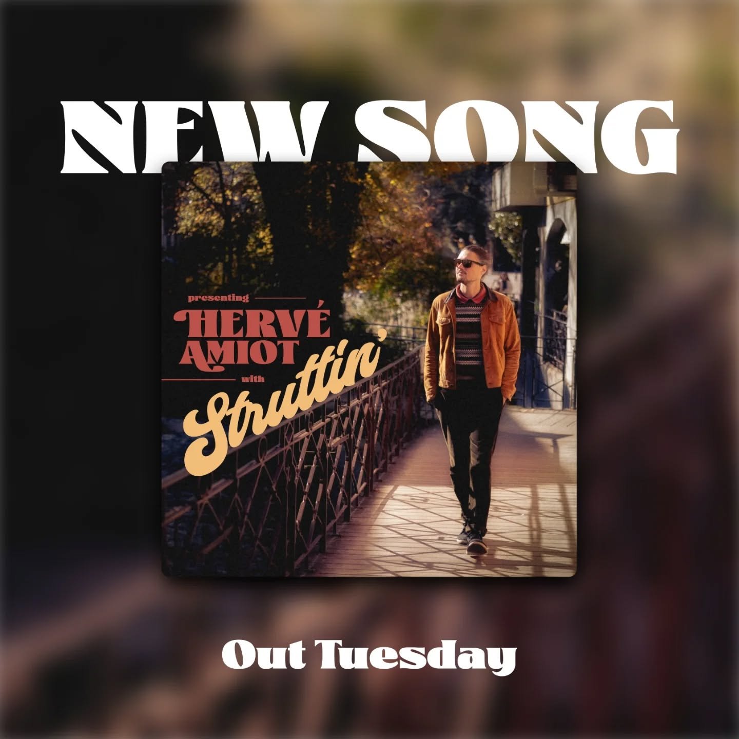 Struttin' is out this week! 🚶