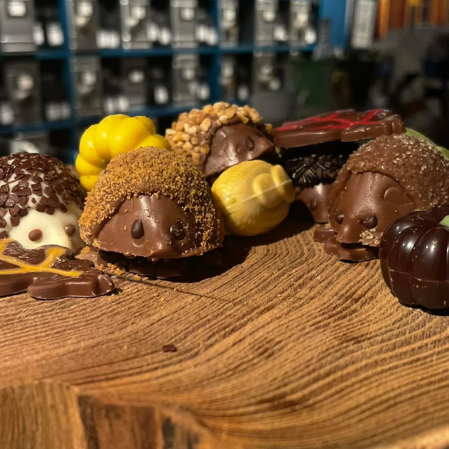Haal bij ons de leukste seizoenschocolade! Van schattige egeltjes tot pompoenen en blaadjes. Leuk én lekker voor bij de koffie of thee. 
#barneveldcentrum #chocolade #herfst #herfst🍁 #herfstvakantie #herfstkleuren #herfstchocolade #chocolate