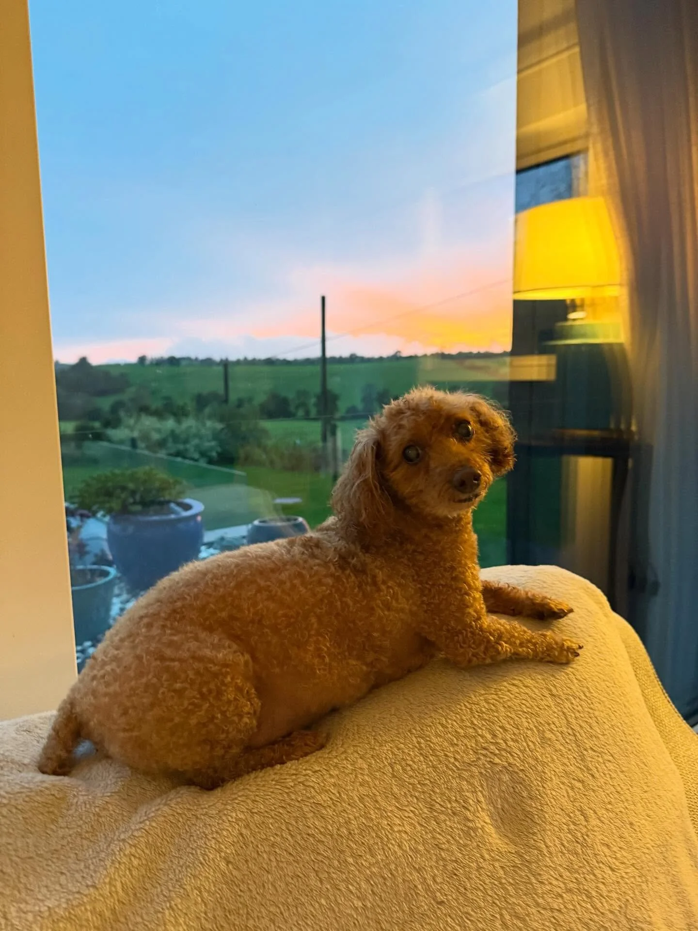 Huge thanks to our amazing customers for an unforgettable summer! We're taking a short break and will be back in action on October 16th, jingle bell ready! 🎅 Any menu suggestions? Share with us below!! ❤️💕🥰😍💙