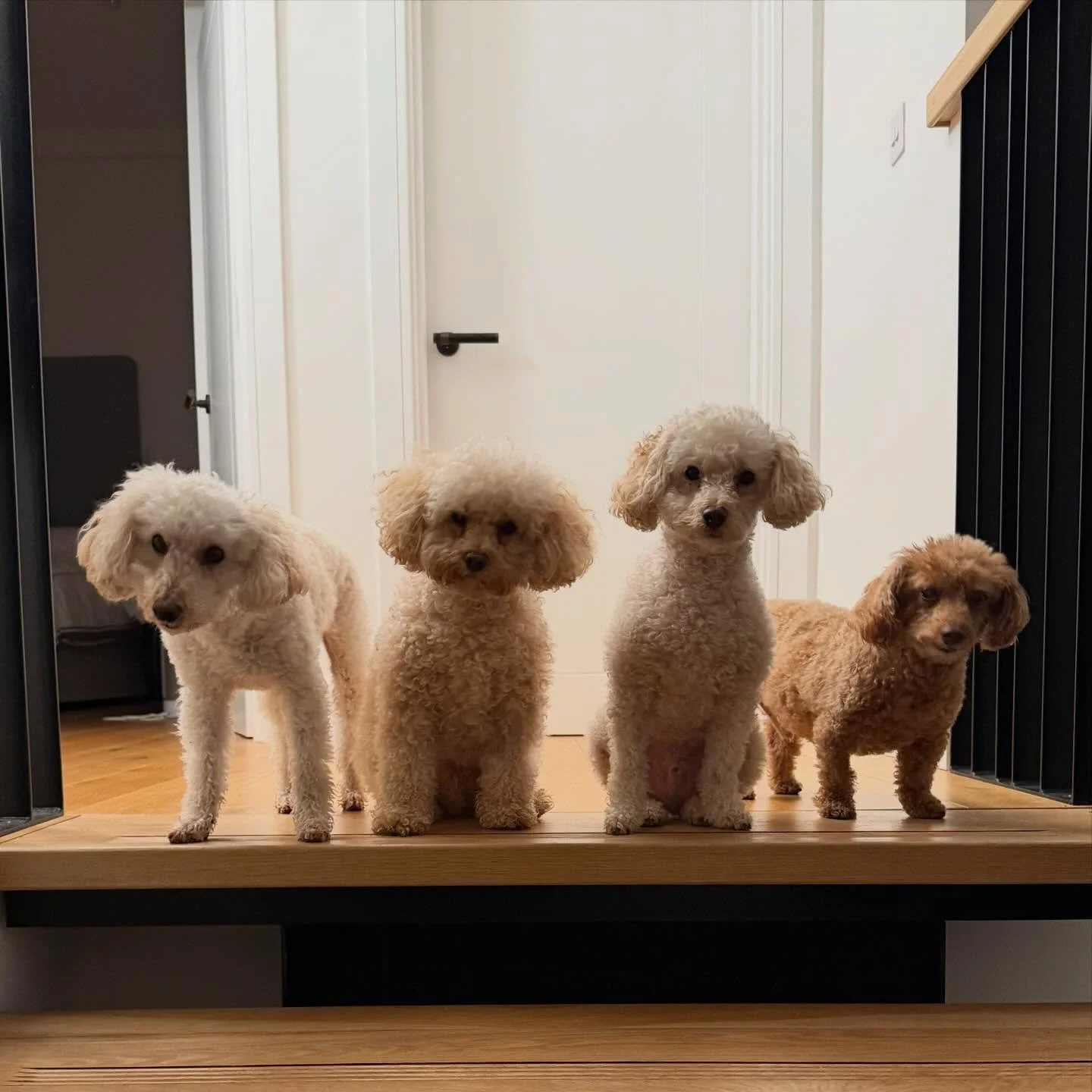 What an incredible Christmas period we had! Huge thanks to every single customer for your support 💗

Huge shoutout to our incredible staff for their outstanding work. We're so grateful for their hard work and positivity!

We're taking a brief break 