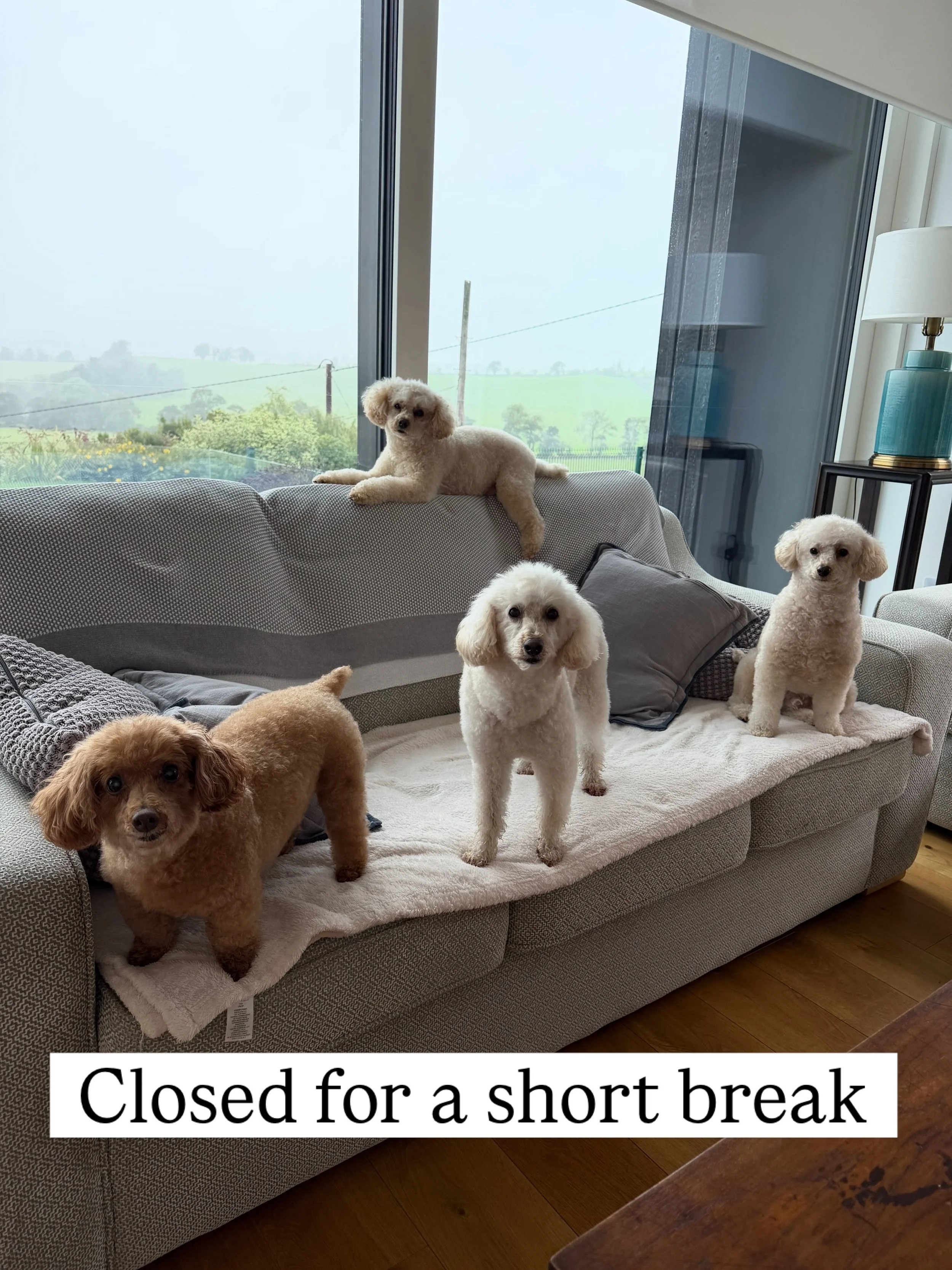 Summer, you&rsquo;ve been a good one ☀️💛

After a very busy few months, we&rsquo;re taking some time off to slow down, recharge and, most importantly, give our brilliant team a well-earned break.

We&rsquo;ll be closing from October 1st to October 1