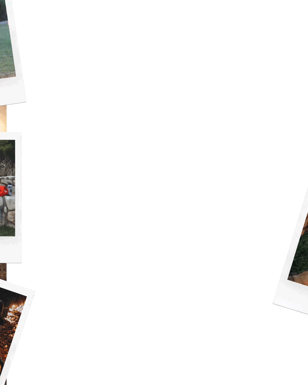 video-panel.gif