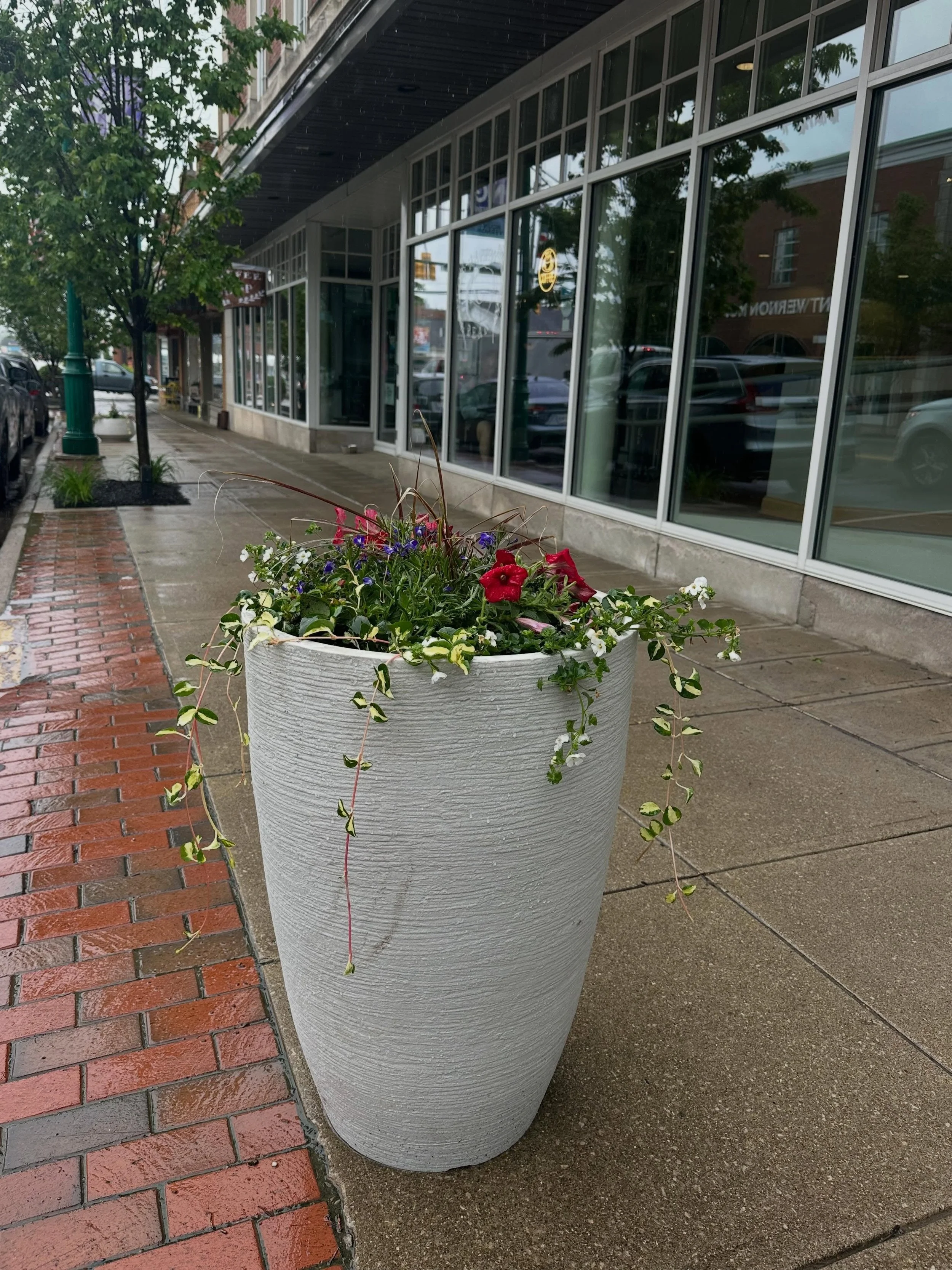 🌼✨ Exciting News for Downtown Mount Vernon! 🌼✨ We&rsquo;re thrilled to announce the arrival of vibrant new potted planters around our beautiful downtown area, thanks to our Public Space Enhancement Coordinator, Jess, and a wonderful partnership wit