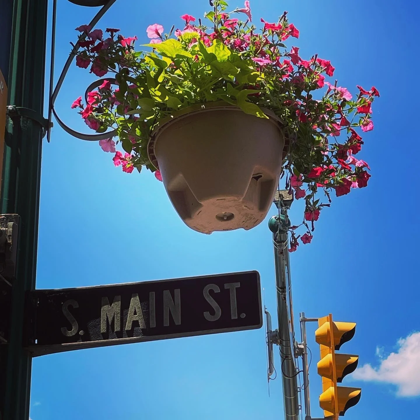 Hanging basket on South Main Street image by Experience Mount Vernon