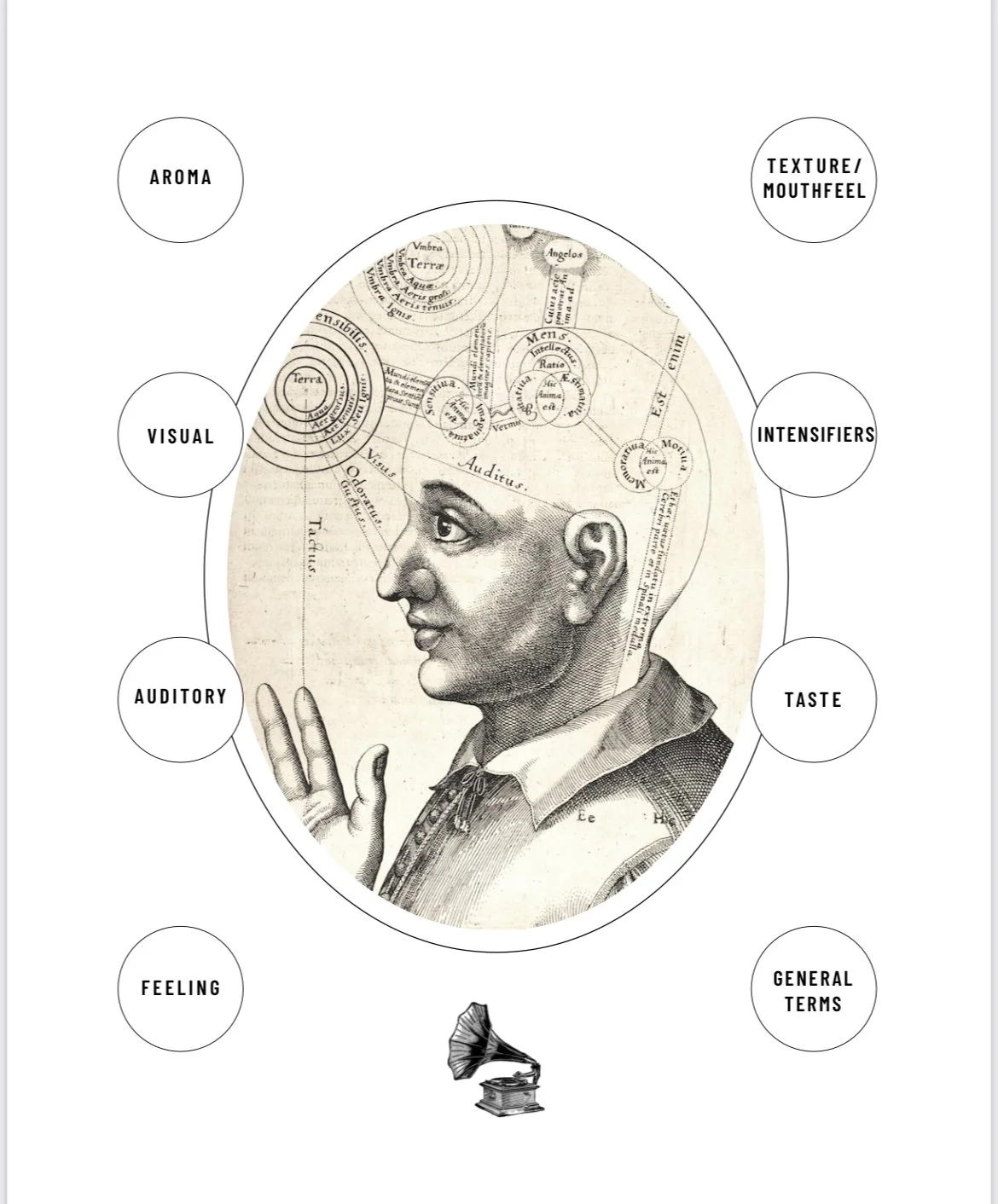 Chocolate Tasting Guide: A Multi-Sensory Experience PDF