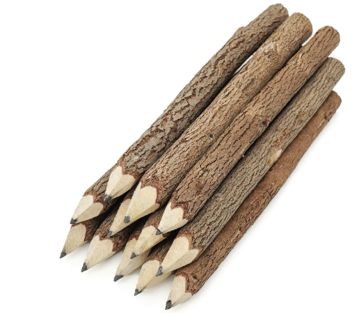 Bear probably used these pencils to write about his adventure. 