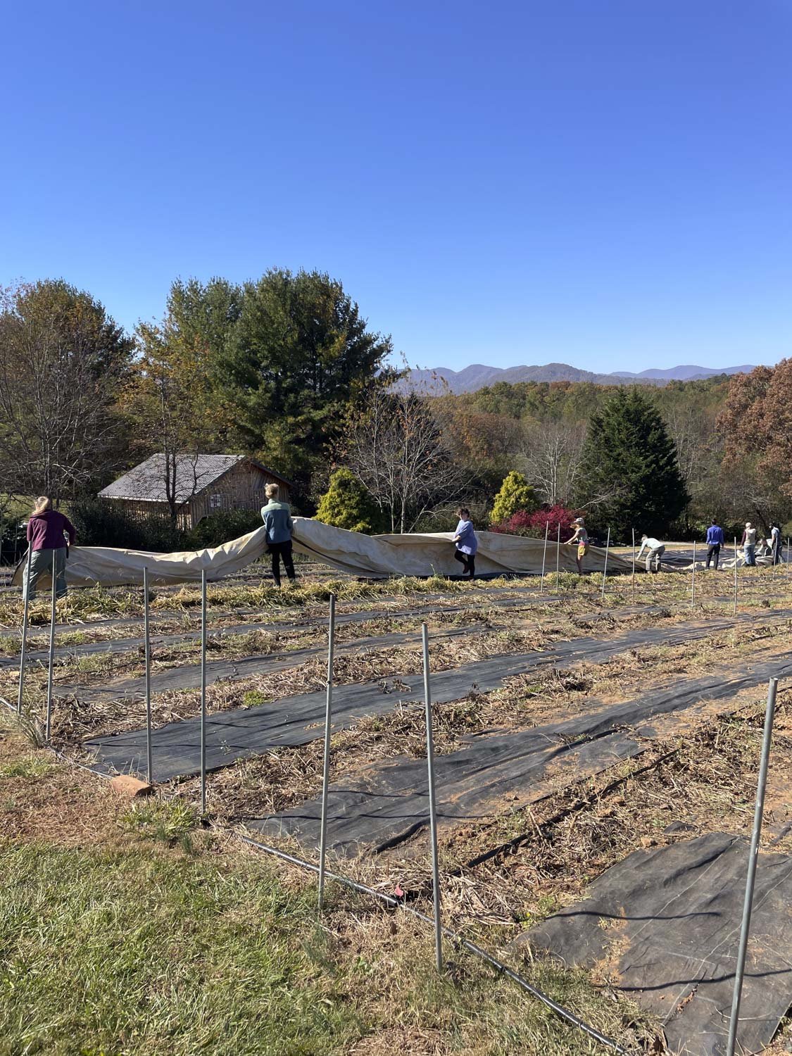 Helene Recovery on Bloom WNC Flower Farm-7.JPG