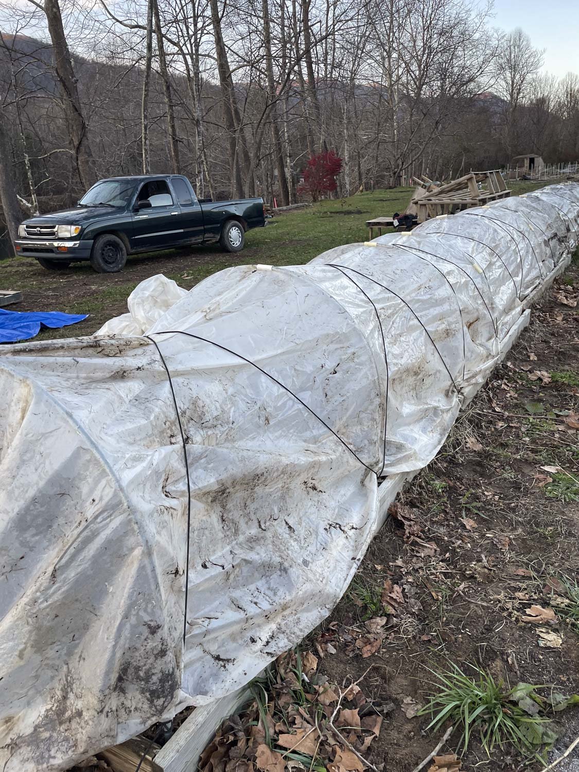 Helene Recovery on Bloom WNC Flower Farm-16.JPG