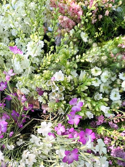 907 - Agrostemma, Larkspur & Nigella flowers