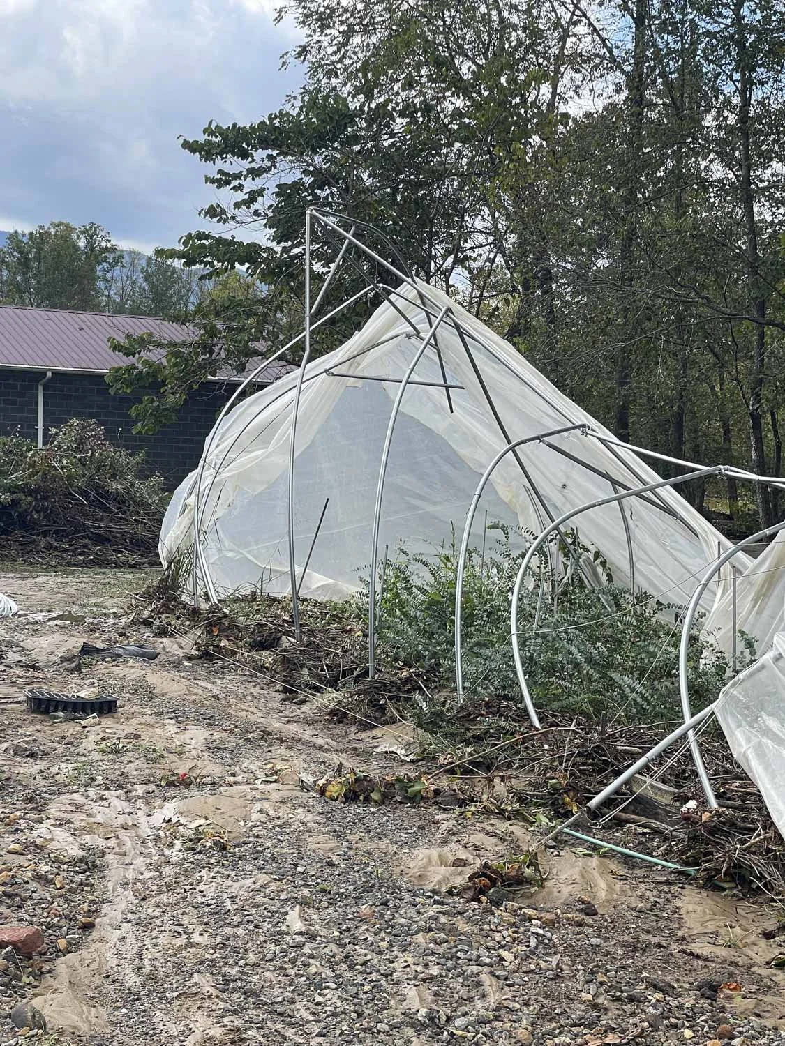 Helene Recovery on Bloom WNC Flower Farm.JPG