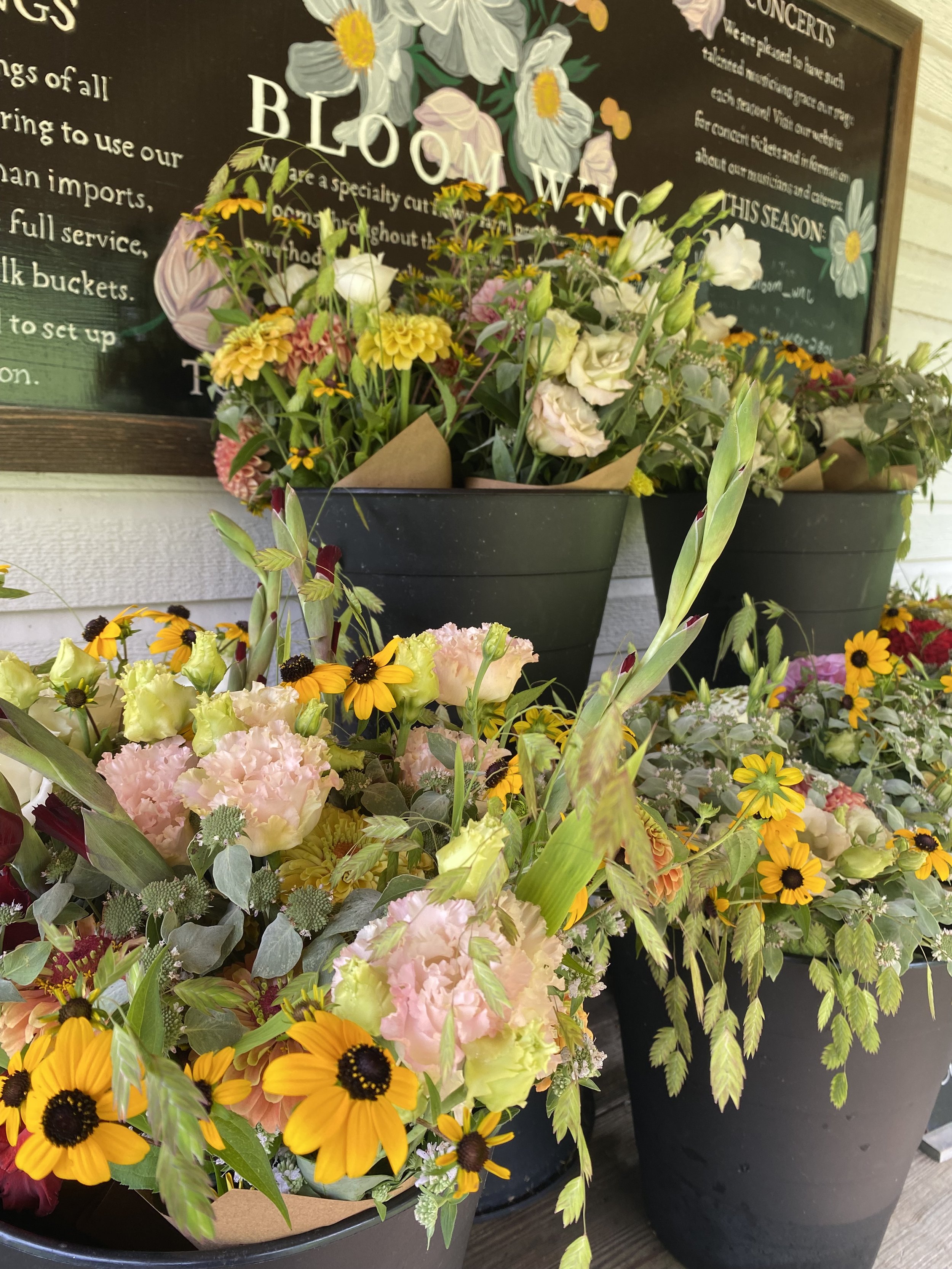 IMG_8081.jpeg