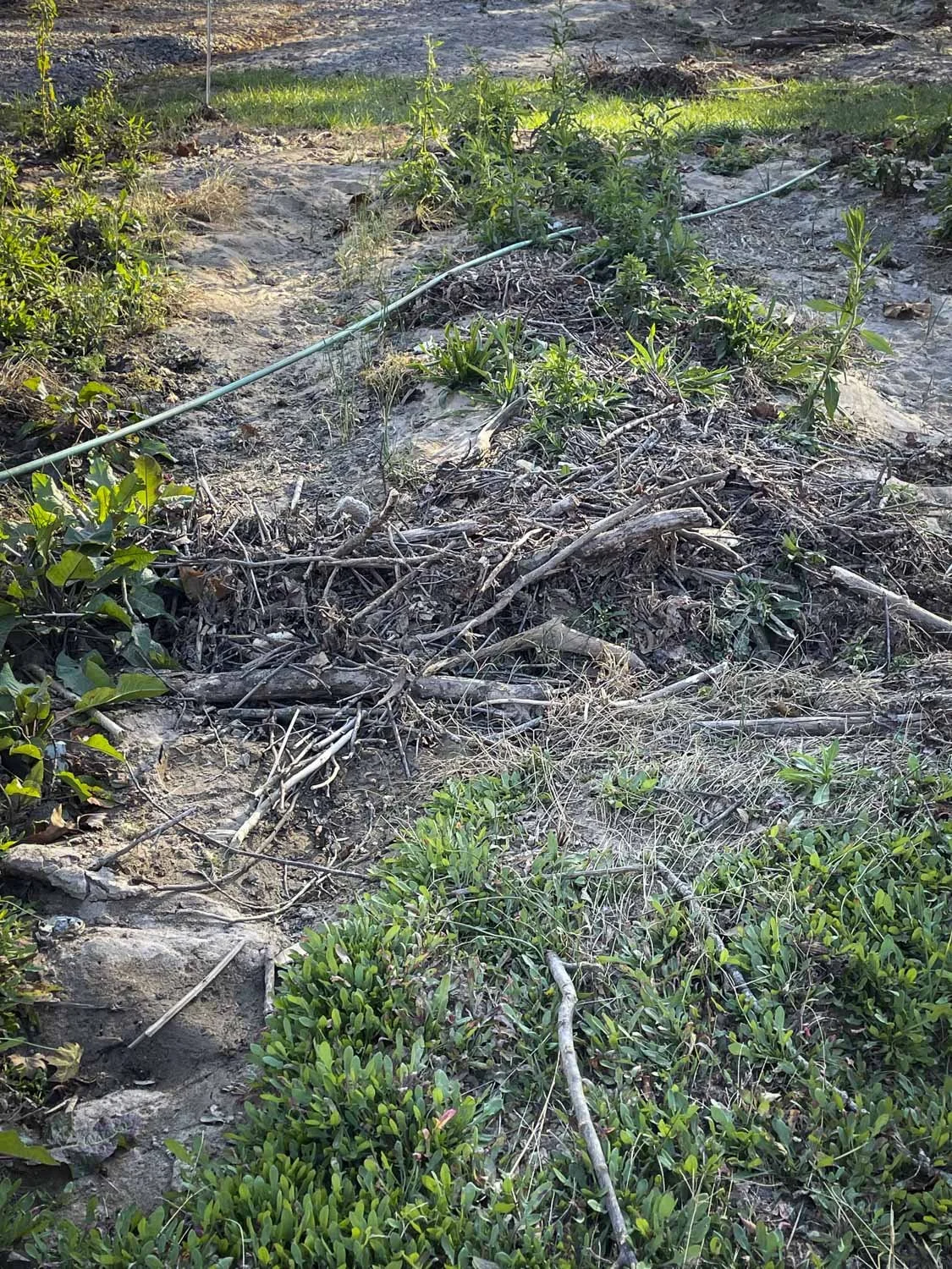 Helene Recovery on Bloom WNC Flower Farm-8.JPG