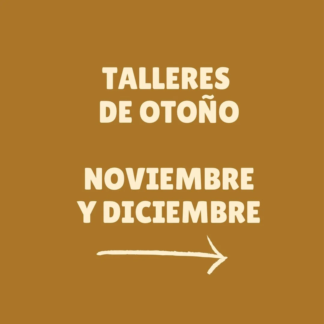 Talleres de noviembre y diciembre ya est&aacute;n en la web! Link en bio. 

Descubre el mundo de la cer&aacute;mica con
- cursos de torno
-talleres de set de desayuno
-pintura en cer&aacute;mica
- talleres libres para hacer el regalo de navidad 
- pi