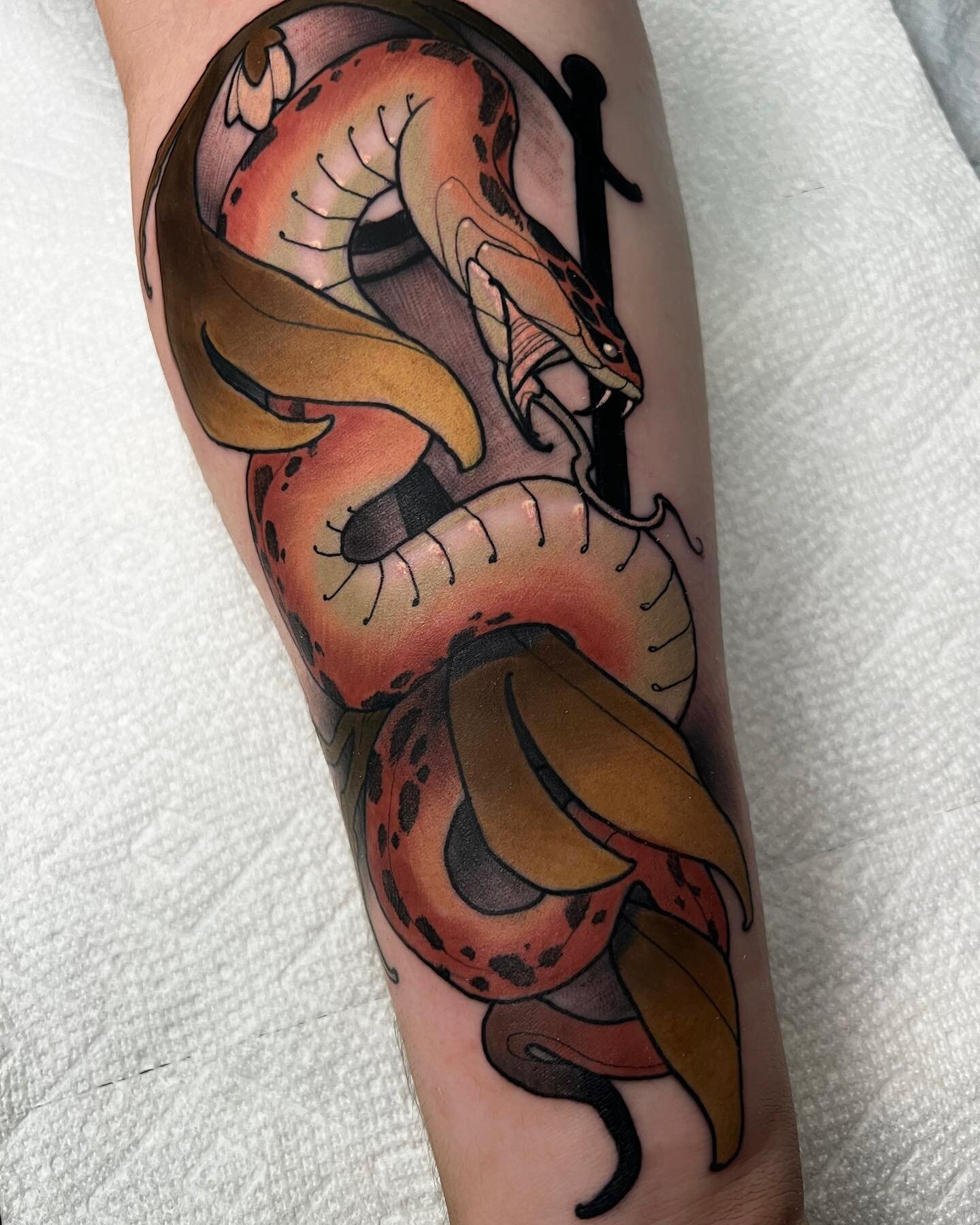 Classic snake done by @jmc.tattoo .
.
.
.
.
.
#neotrad #snaketattoo #neotradsnake #neotradi #neotradsub #neotradworldwide #neotradworld #neotradtattooers #neotraditionaltattooers