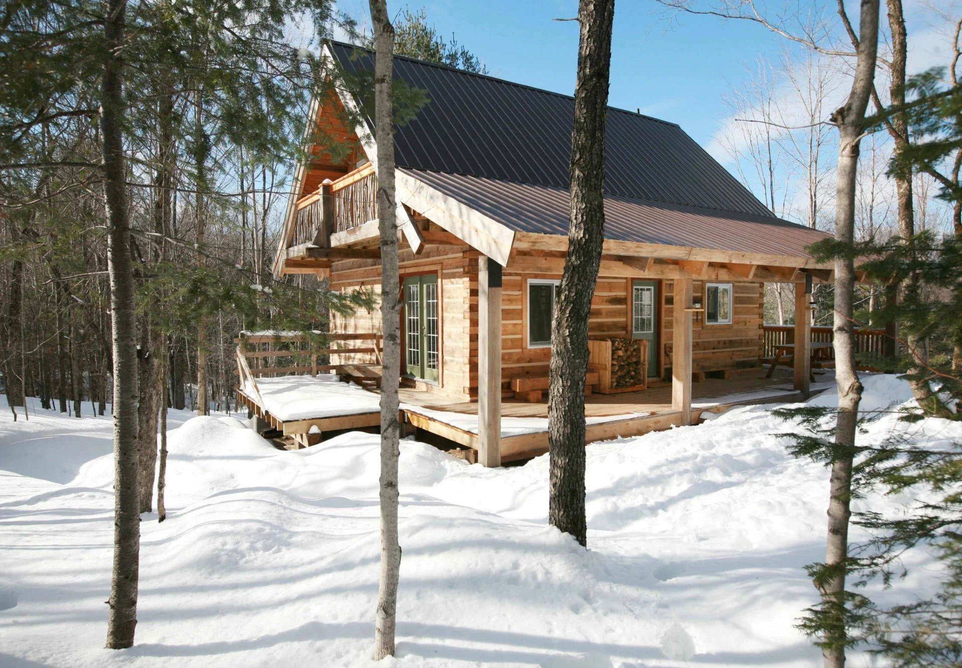 EcoLog Winter _24x28-min.jpg