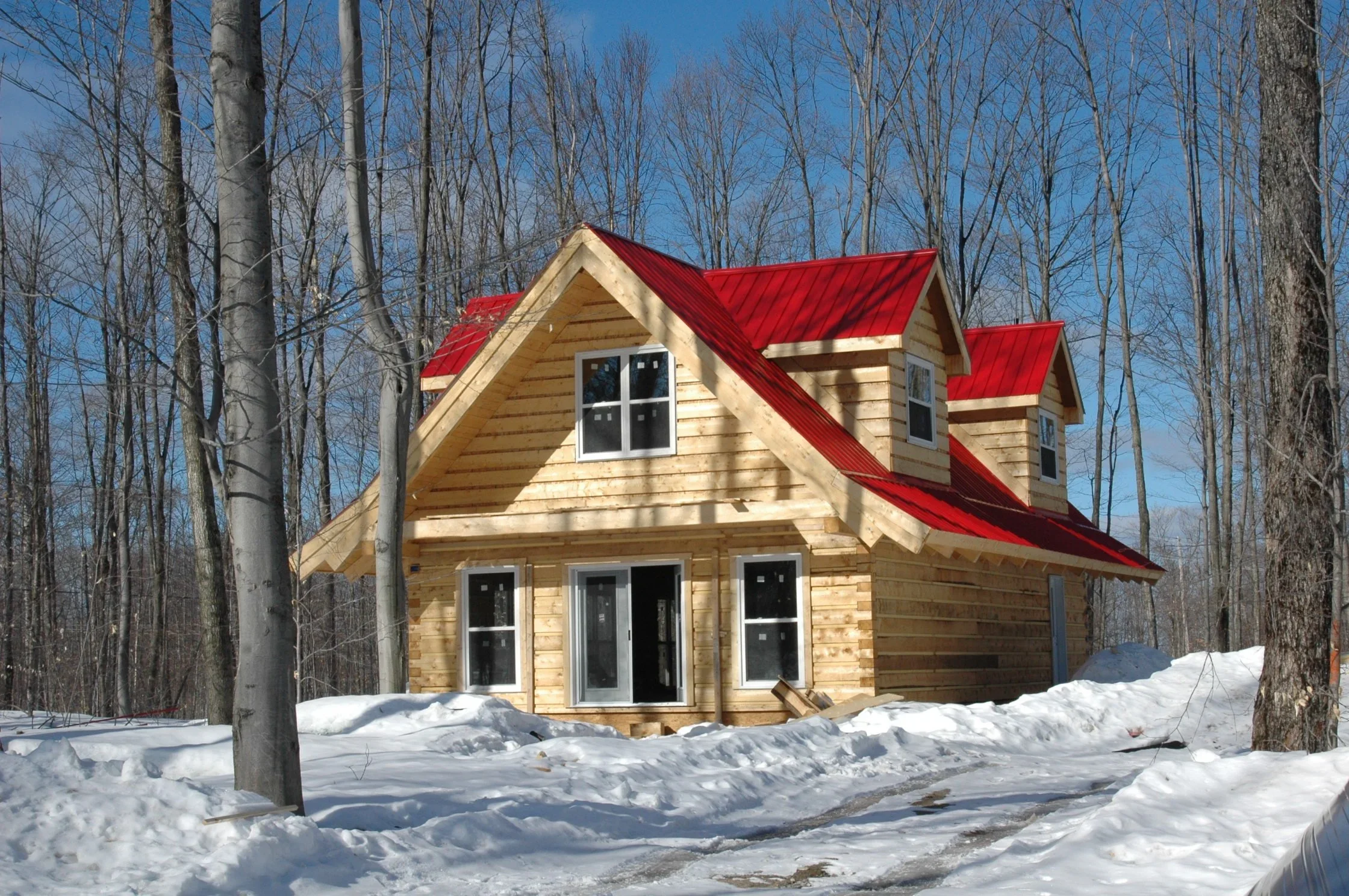 Log House Winter View.webp